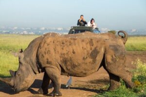 Nairobi National Park Half Day Tour with Landcruiser with Pickup - Getting into the park: eCitizen ticket help at the gate