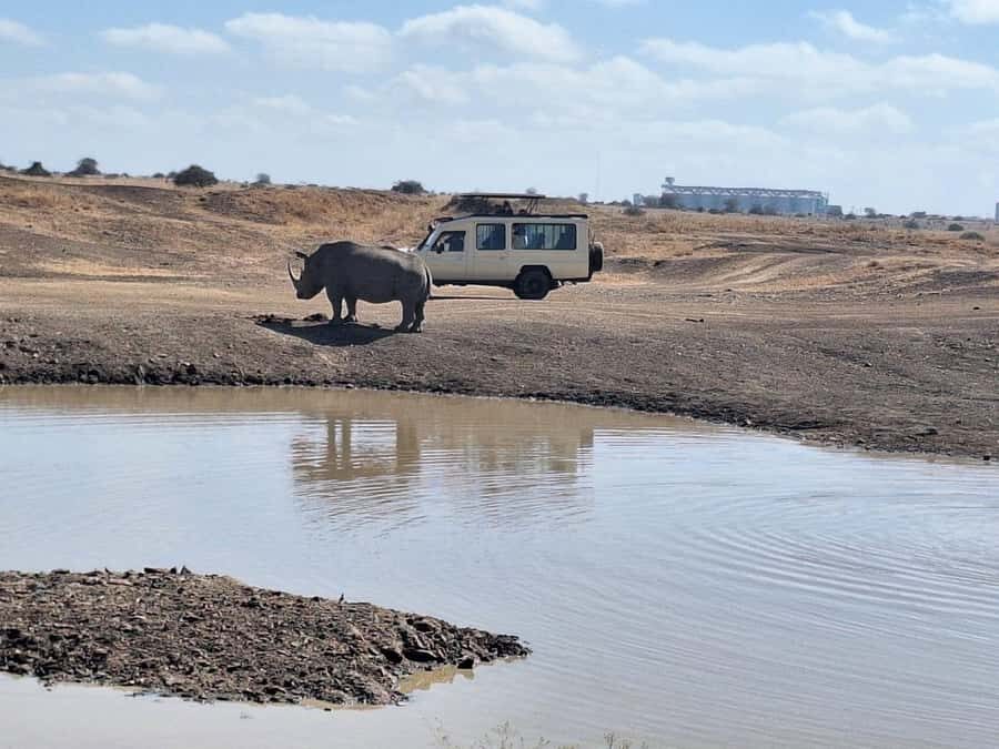 Nairobi National Park Morning Or Evening Game Drive Tour - What Makes Nairobi National Park Game Drives So Different Here