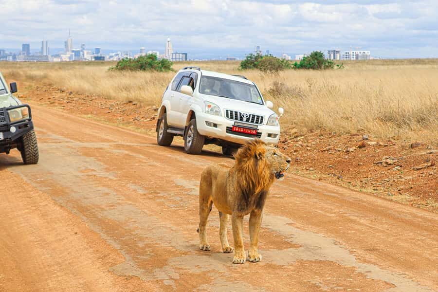 Nairobi: National Park Private Tour in 4X4 Jeep - Why Nairobi National Park feels like a city safari