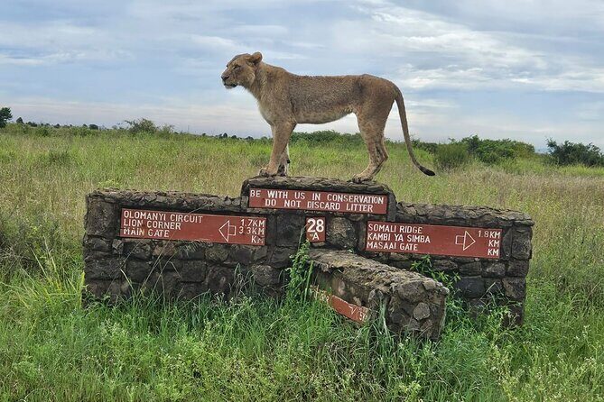 Nairobi National Park, Sheldrick Elephant, Giraffe Centre Tour - Nairobi in One Day: the 5:20am to 6:00am pickup reality