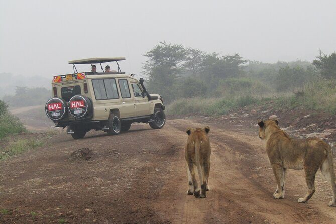 Nairobi National Park Sheldrick & Giraffe Centre Day Trip - Bomas of Kenya: music, dance, and traditional homesteads