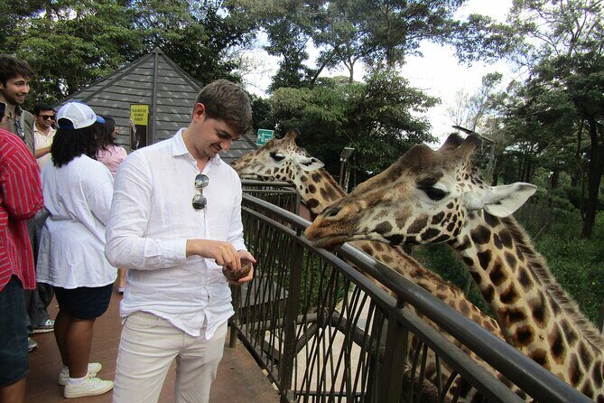 Nairobi National Park Sheldrick & Giraffe Centre Day Trip - Price and value: why $51.86 can work (or surprise you)
