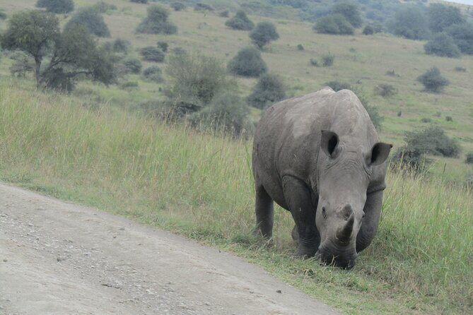 Nairobi National Park Sheldrick & Giraffe Centre Day Trip - Kazuri Beads and Leather Factory: buy something with a story