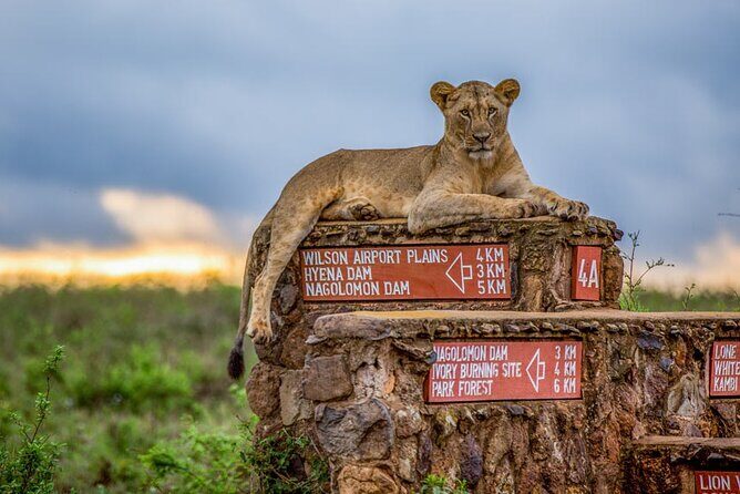 Nairobi National Park Tour - Safari walk and optional add-ons: making your time count