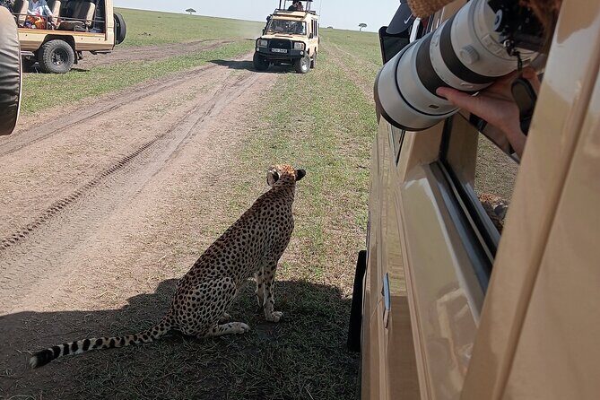 Nairobi Park Wildlife Safari - Why Nairobi National Park fits a short Nairobi stay