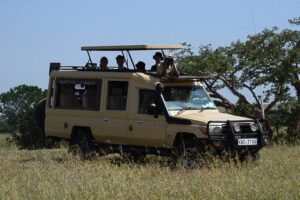 Nairobi Park Wildlife Safari - Meeting the morning at 6:00 am (and why it matters)