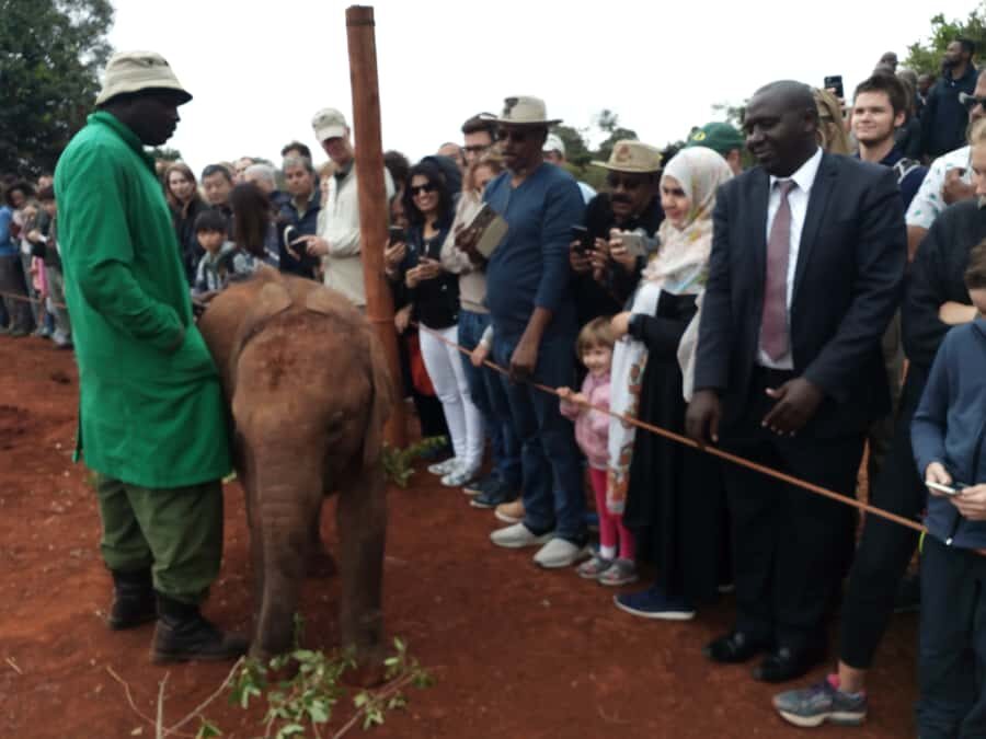 Nairobi: Private Elephant Orphanage Tour - Key Things That Make This Tour Worth Your Time