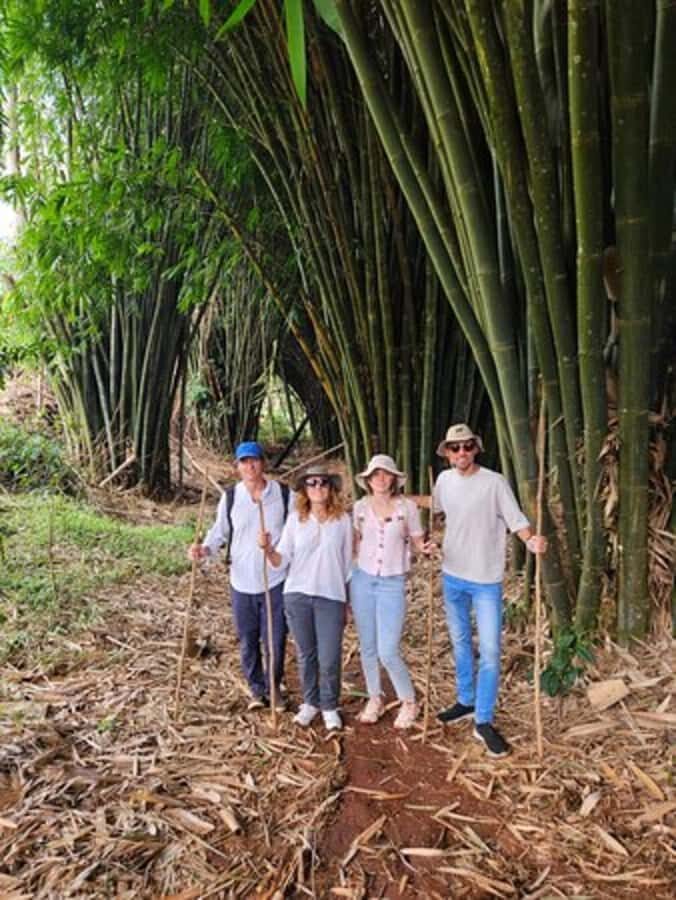 Nairobi: Purple Tea Farm Gatura Greens Day Trip - Price and value: $54 plus the farm entry fee changes the math