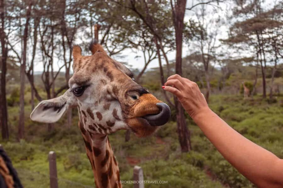 Nairobi: Sheldrick Elephant Orphanage and Giraffe Center - Kazuri beads: a cultural stop that adds meaning to the animal work