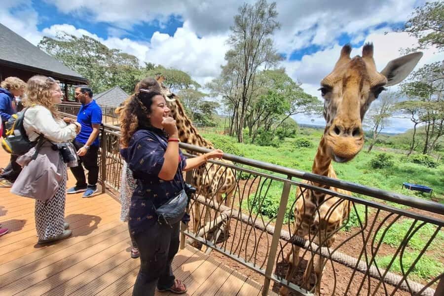 Nairobi: Sheldrick Elephant Orphanage and Giraffe Center - Who should book this tour