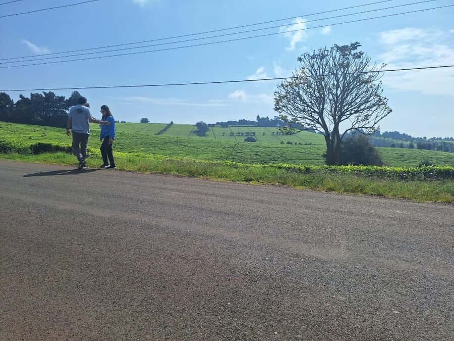 Nairobi: Tea Farm Day Trip with Lunch at kiambethu - Forest trek and a waterfall visit: the afternoon reset