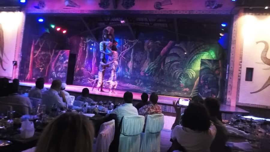 Nairobi: The Safari Cats Show Tickets & Buffet Dinner - The Big Idea: A Fun Nairobi Night With Food First