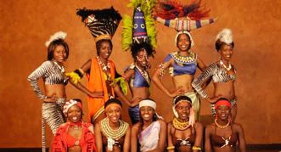Nairobi: The Safari Cats Show Tickets & Buffet Dinner - The Van Ride: More Than Just Transport