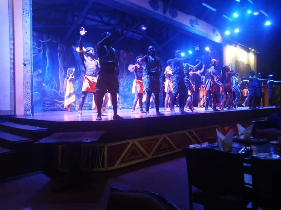 Nairobi: The Safari Cats Show Tickets & Buffet Dinner - The Show: Safari Cats Performance (9 pm to 10 pm)