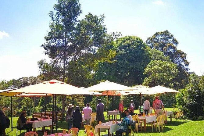 Nairobi to Kiambethu Tea Farm Tour - Gardens, birds, and a guide who turns questions into stories