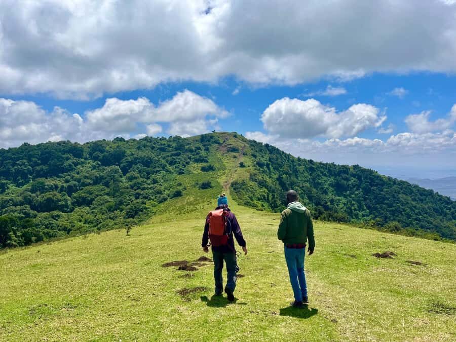 NAIROBI:Ngong Hills Day Hike,Group Tour - The hike route: planted forest up, indigenous forest in, summit views out