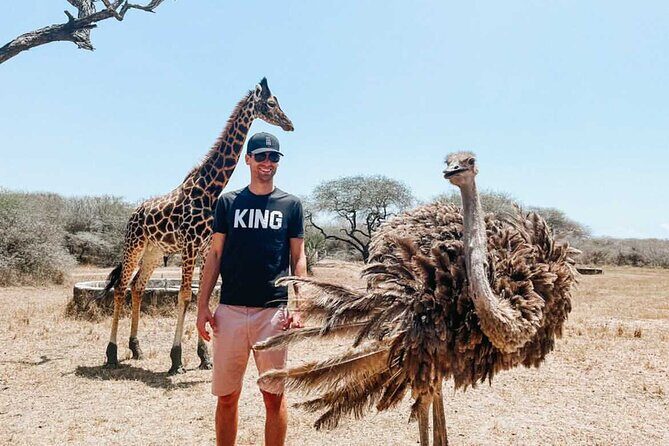 Nature Walk with Giraffes in Mombasa - What you’ll see up close: giraffes, ostriches, antelopes, and more