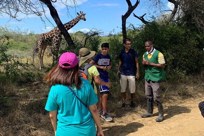 Nature Walk with Giraffes in Mombasa - Small group time in the sanctuary: what “2 hours” really means