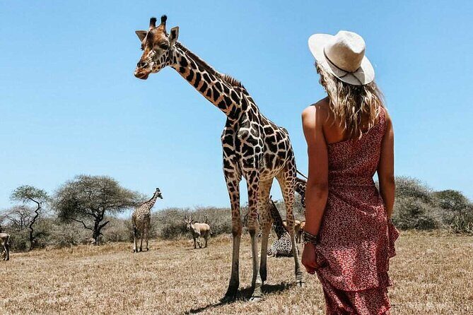 Nature Walk with Giraffes in Mombasa - What to bring: the simple gear list that keeps the experience smooth