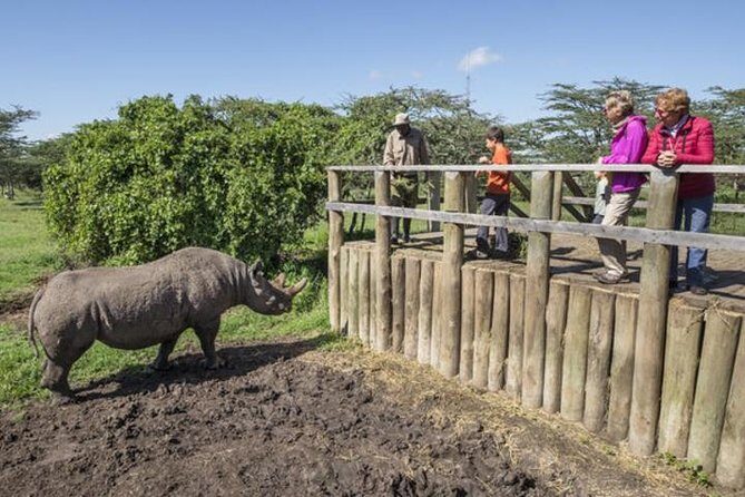 Ol Pejeta Conservancy Day Tour from Nairobi - Afternoon eastern drive for Baraka the blind rhino and northern whites
