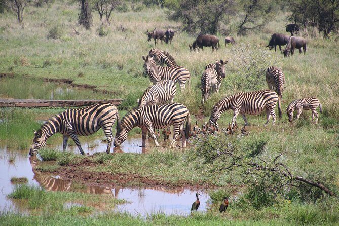Olpejeta, Lake Naivasha, Masai Mara 5 Days Private Kenya Jeep tour - Day 3: The long Rift Valley drive into Maasai Mara