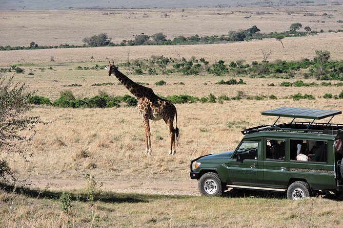 Olpejeta, Lake Naivasha, Masai Mara 5 Days Private Kenya Jeep tour - Day 5: Mara back to Nairobi, with Longonot and tea-farm options