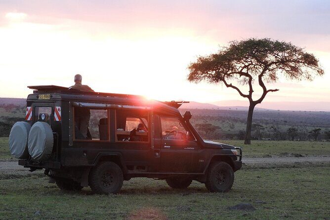 One Day Tour to Maasai Mara Game reserve from Nairobi - Price and Value: Is $270 Worth It?