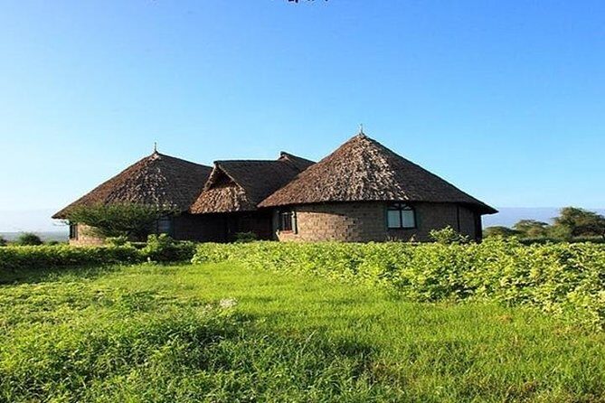 Overnight Amboseli National Park Safari from Nairobi - Day 1: lunch on arrival, then an afternoon game drive with mountain views
