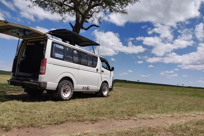 Overnight Amboseli National Park Safari from Nairobi - Value check: what you’re really paying for at $600