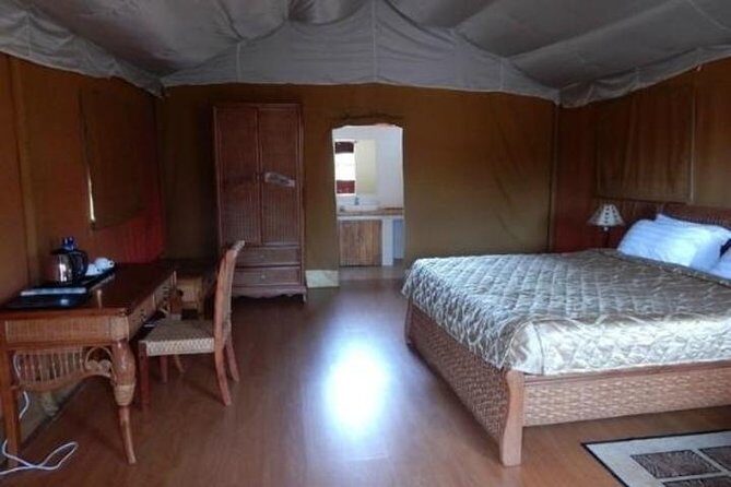 Overnight Amboseli National Park Safari from Nairobi - Guides and the human side of wildlife timing