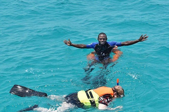PILLI PIPA DHOW, the genuine product, snorkeling tour to Kisite Marine Park - Who this tour suits best (and who should reconsider)