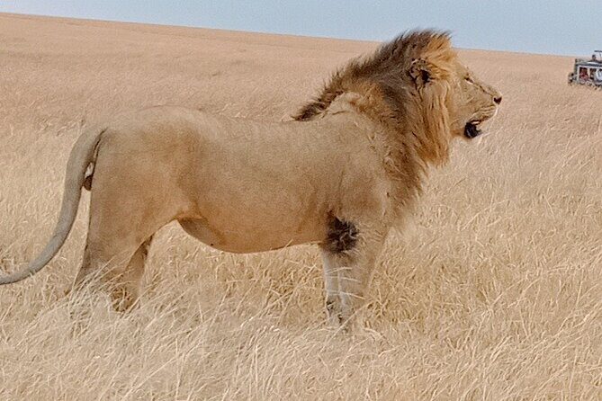 Private 6-Days Tour Exploring in Amboseli & Nakuru National Park - Key Highlights You’ll Feel Fast