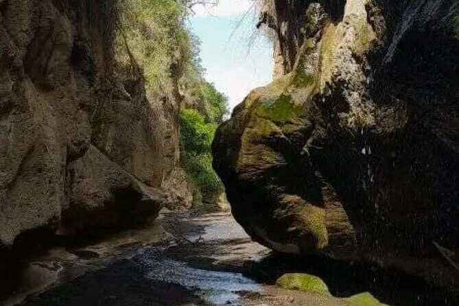 Private Day tour to Hell's Gate National Park and Lake Naivasha - Gorge walk inside Hell’s Gate: caves, shade, and cliff life