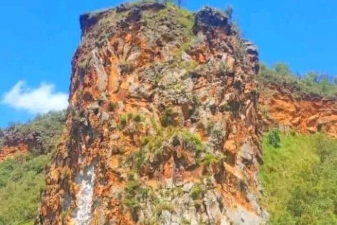 Private Day tour to Hell's Gate National Park and Lake Naivasha - Lake Naivasha: the 1-hour boat ride for hippos and birdwatching