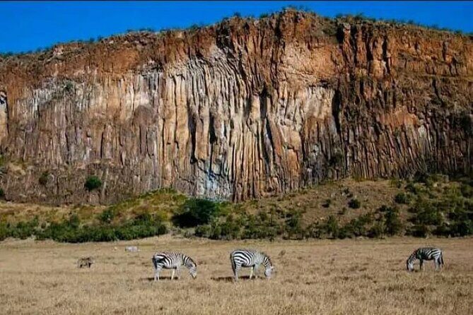 Private Day tour to Hell's Gate National Park and Lake Naivasha - Timing at Naivasha: lunch options, then a 4:00pm finish back in Nairobi
