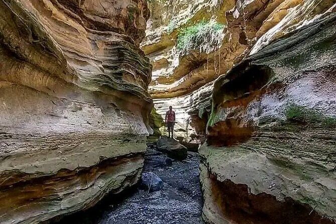 Private Day tour to Hell's Gate National Park and Lake Naivasha - Value and price: what $115 includes, and what you should budget for