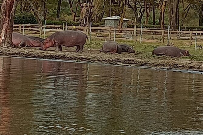 Private Day tour to Hell's Gate National Park and Lake Naivasha - Pedaling the 7 kilometers: a biking safari you can actually enjoy