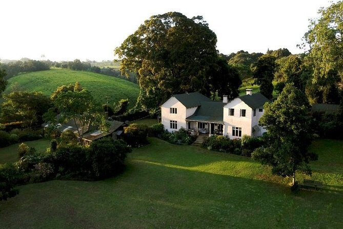 Private Day Trip to Kiambethu Tea Farm in Limuru from Nairobi - Who This Tour Fits Best (And Who Might Want a Different Day)
