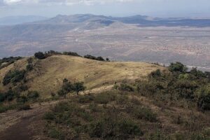 Private Half Day Hike to Ngong Hills from Nairobi - Ngong Hills Reserve and the trail: what your guide does for you