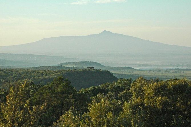 Private Hiking Day Trip to Mt. Longonot from Nairobi - Lakeside Lunch at Lake Naivasha Marina Camp: Food Without the Rush