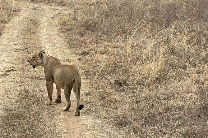 Private Nairobi National Park Day Tour - Who should book this Nairobi National Park private tour