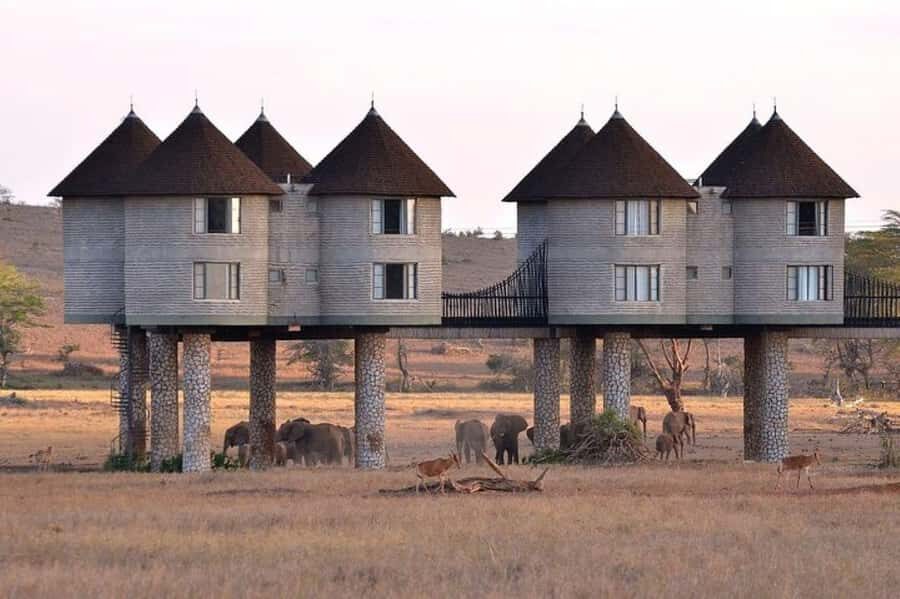 PRIVATE OVERNIGHT SALTLICK SAFARI FROM MOMBASA OR DIANI - Taita Hills Safari Drives: How You’ll Spend Your Two Days