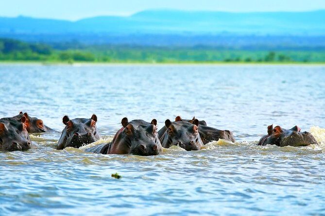 Private Tour to Mount Longonot and Optional Boat Ride on Lake Naivasha - Mount Longonot hike: extinct volcano views, crater terrain, and real pacing