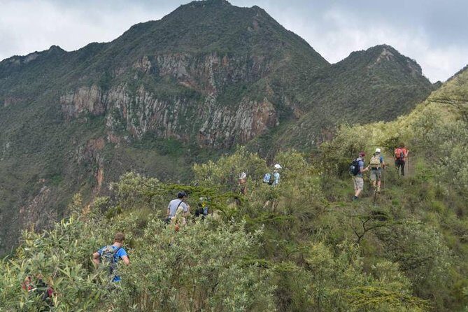 Private Tour to Mount Longonot and Optional Boat Ride on Lake Naivasha - Optional boat ride on Lake Naivasha: hippo pool and fish eagle moments