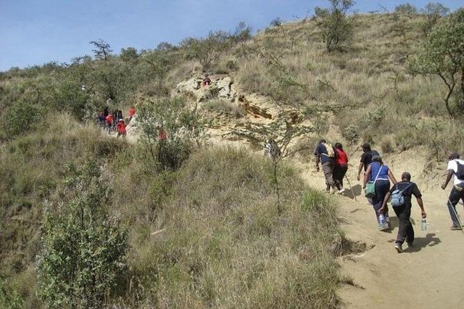 Private Tour to Mount Longonot and Optional Boat Ride on Lake Naivasha - Price and value: what you’re really paying for at $125