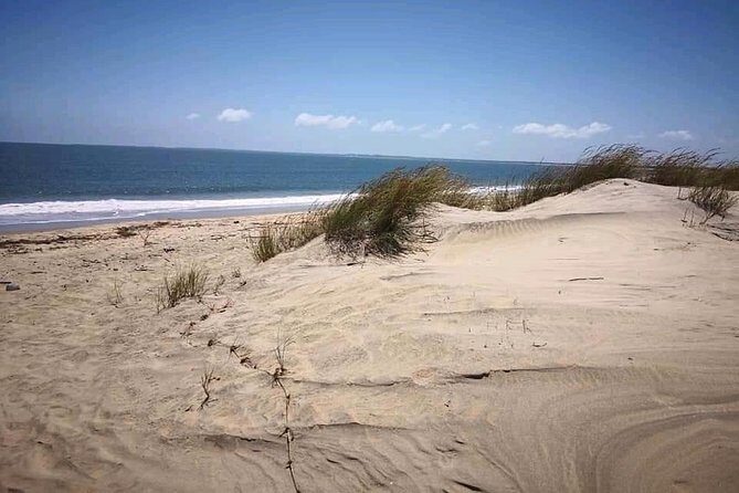 ROBINSON ISLAND/MARAFA HELL's KITCHEN - Comfort and timing: planning your day like a local