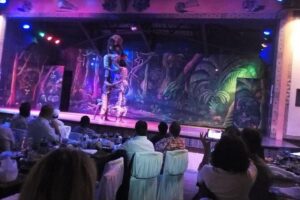 Safari Cat Dancers Show And Dinner - What You’ll Eat: African Meat Specials, Keema, and Sizzle Plates