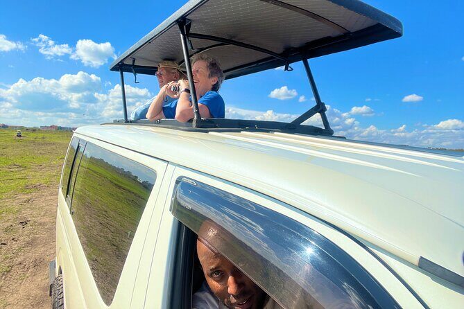 Safari In Nairobi Kenya National Park Half day Tour - Wildlife Chances in 3–4 Hours: What You Can Expect