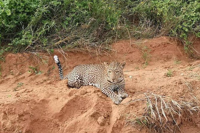 Safari Kenya with Patrick - Day 2: another Tsavo East pass plus more village time