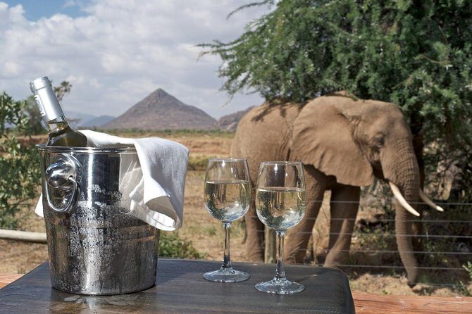 Samburu/ Aberdare/ Lake Nakuru/ Masai Mara 7 Days Safari - Nairobi Return Day: early drive, Narok lunch, back in late afternoon